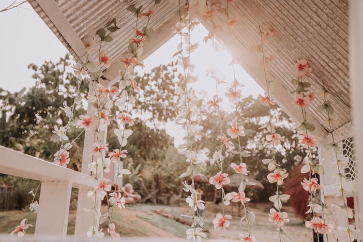 Flowers Hanging From A Terrace To A Garden