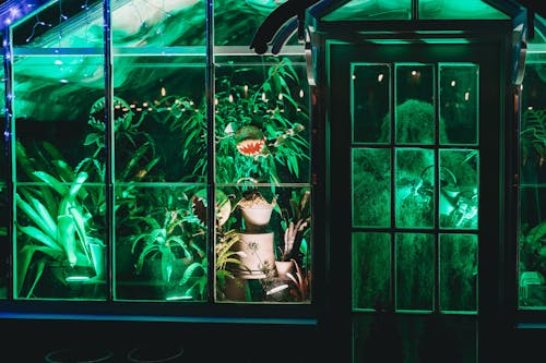 Photo of an Illuminated Greenhouse