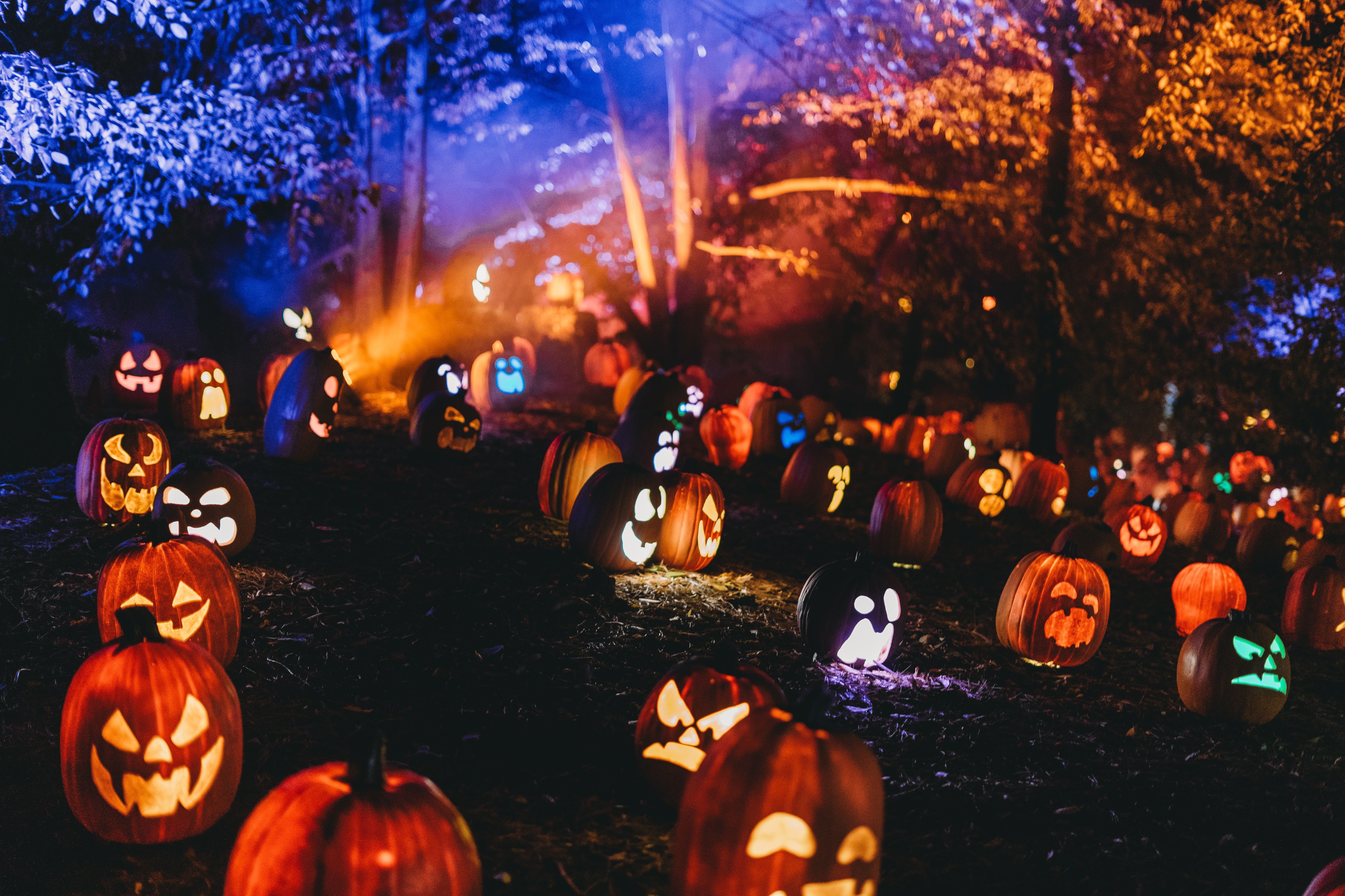 Mystical scene of glowing jack-o'-lanterns in a park during dusk, creating a spooky Halloween atmosphere.