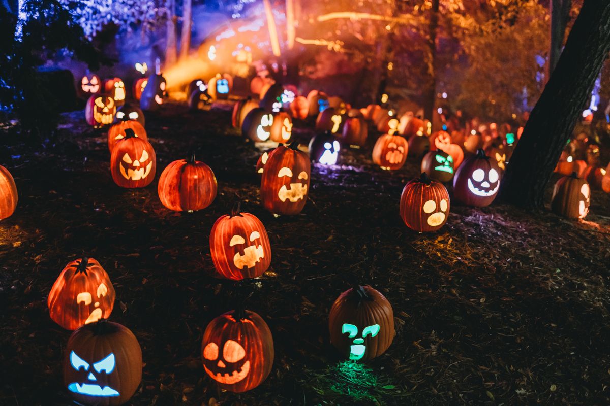 Halloween in Boston 2026: 14 Events, From Salem's Big Night to Costume Crawls