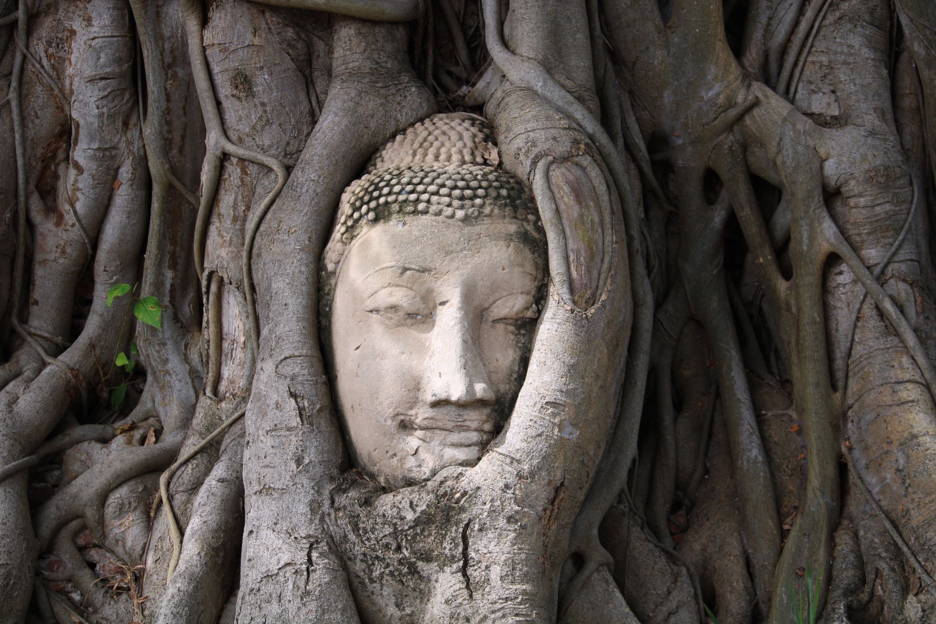 Ayutthaya