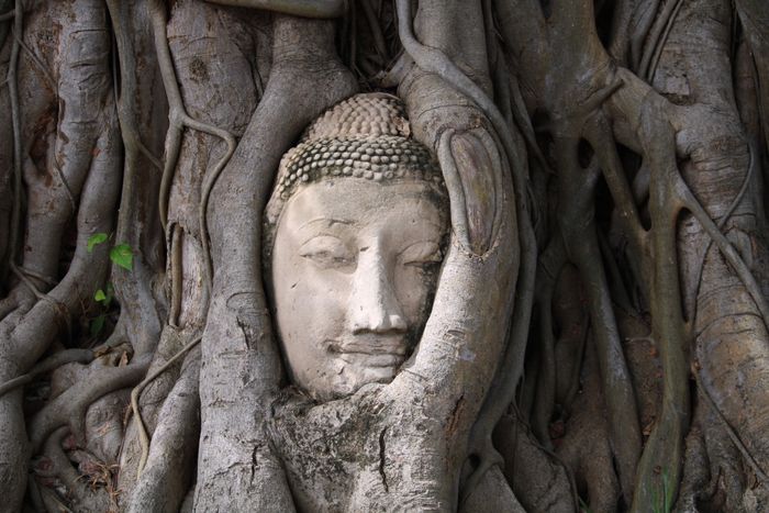 Ruinas de templos budistas de Ayutthaya Tailandia