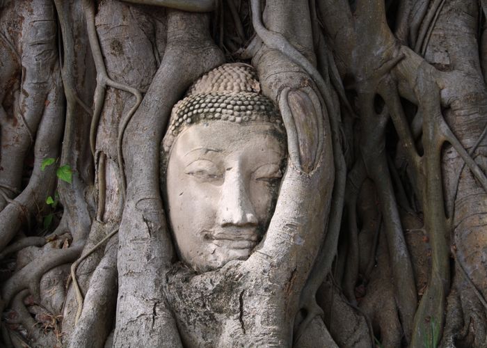 Ruinas de templos budistas de Ayutthaya Tailandia