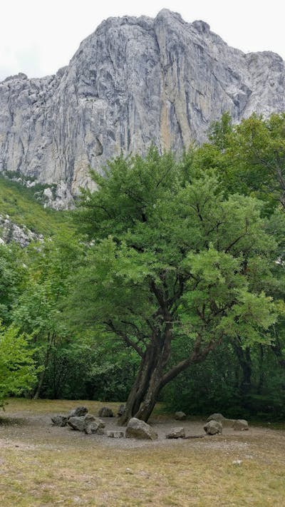 动漫唯美句子 动漫唯美句子摘抄秒速五厘米