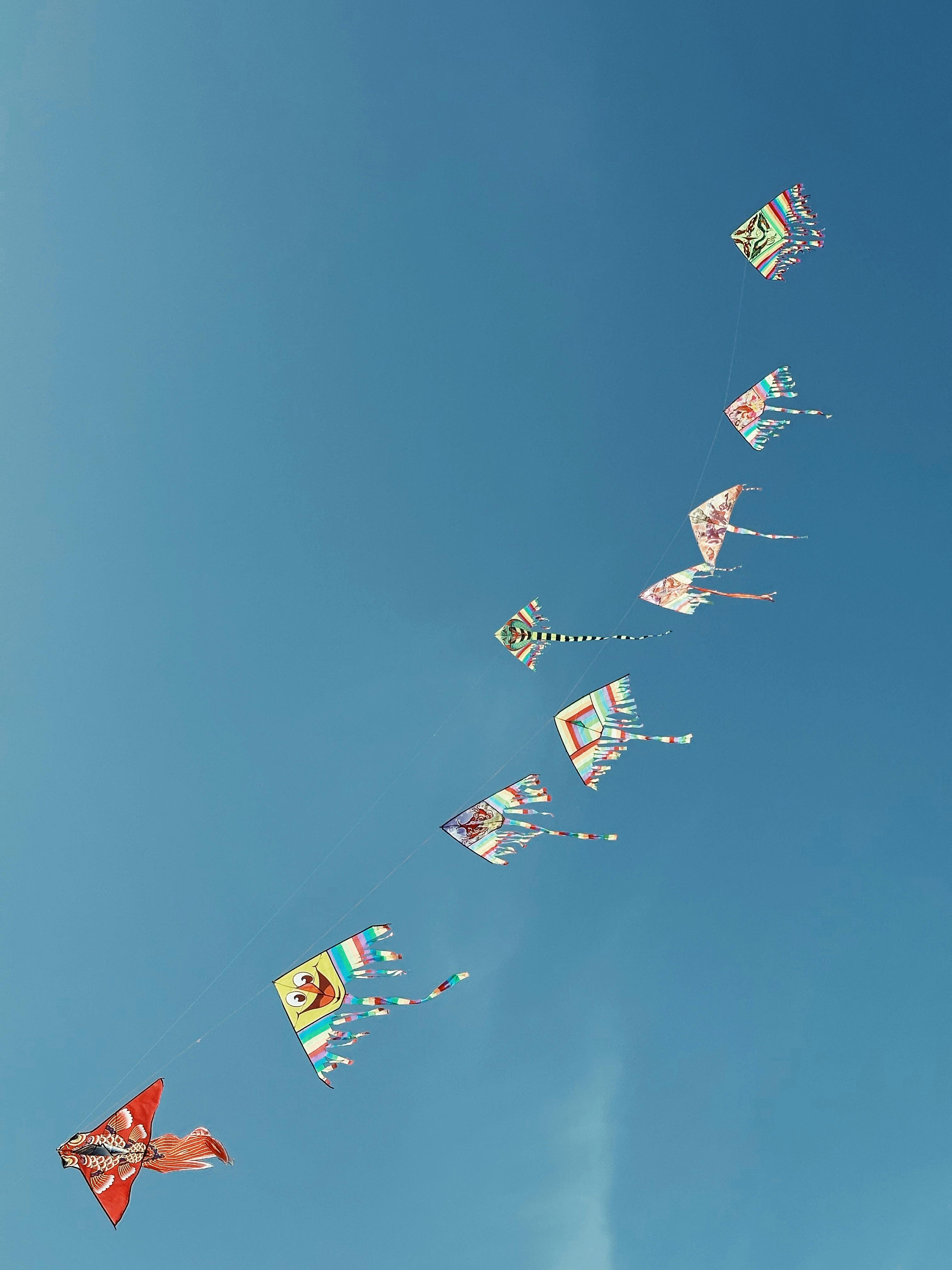 A vibrant display of kites soaring in the clear blue sky in Alghero, Sardinia.