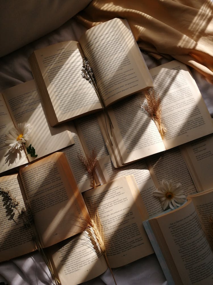 Plants On Old Open Books