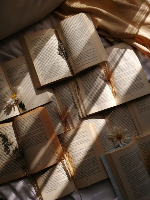 An open book with sunlight casting a shadow across the pages