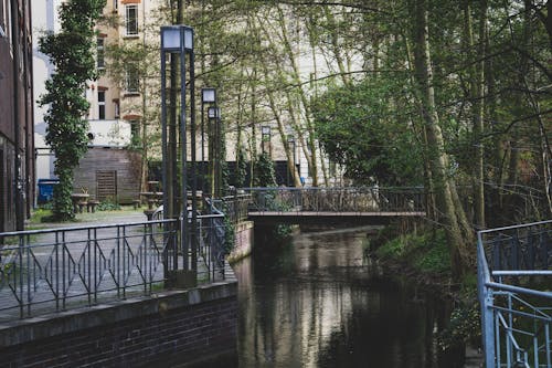 Kostenloses Stock Foto zu bäume, fußgängerbrücke, geländer