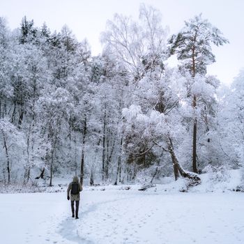 冬日里，一位孤独的旅人正探索一片宁静而白雪皑皑的森林