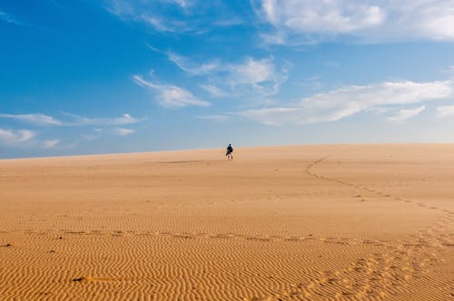 Pessoa Caminhando No Deserto