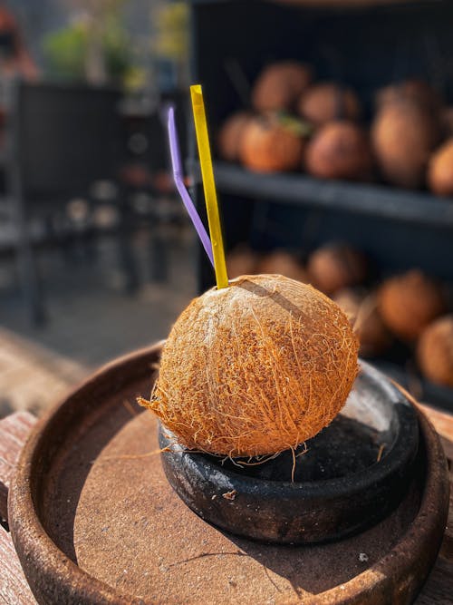 Darmowe zdjęcie z galerii z drink, kokosy, orzech kokosowy