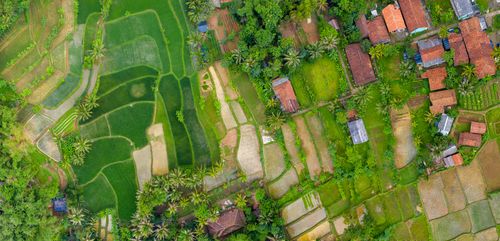 Free Explore the lush farmland in Cisoka, Banten, Indonesia, captured from above. Stock Photo