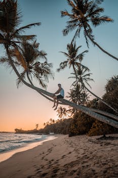 A man sits on a palm tree watching a stunning sunset on a Colombo beach.