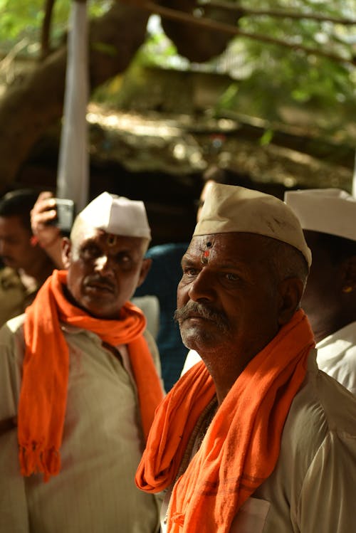 Free stock photo of elderly people, festival, festival of india