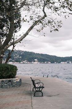 Serene view of a bench by the Bosphorus with tree branches and distant Istanbul skyline.