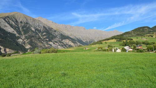 View of a Grass Field in the Valley and Mountains 