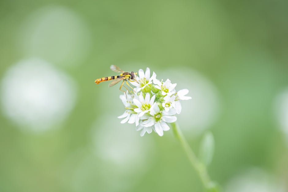 How to Create a Natural Garden