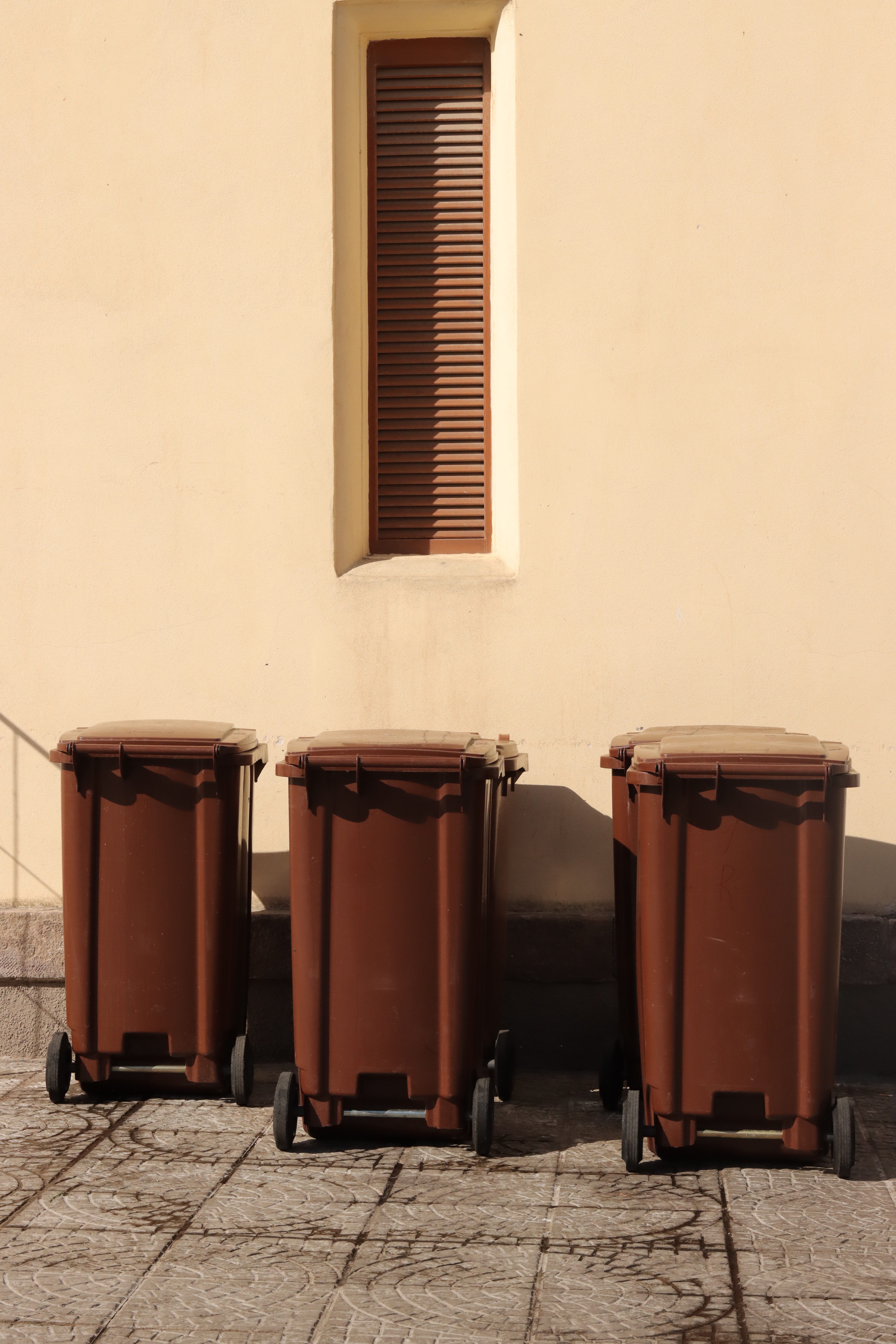 Poubelles alignées contre un mur