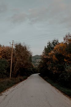 Quiet rural road lined with trees showing fall foliage during day.