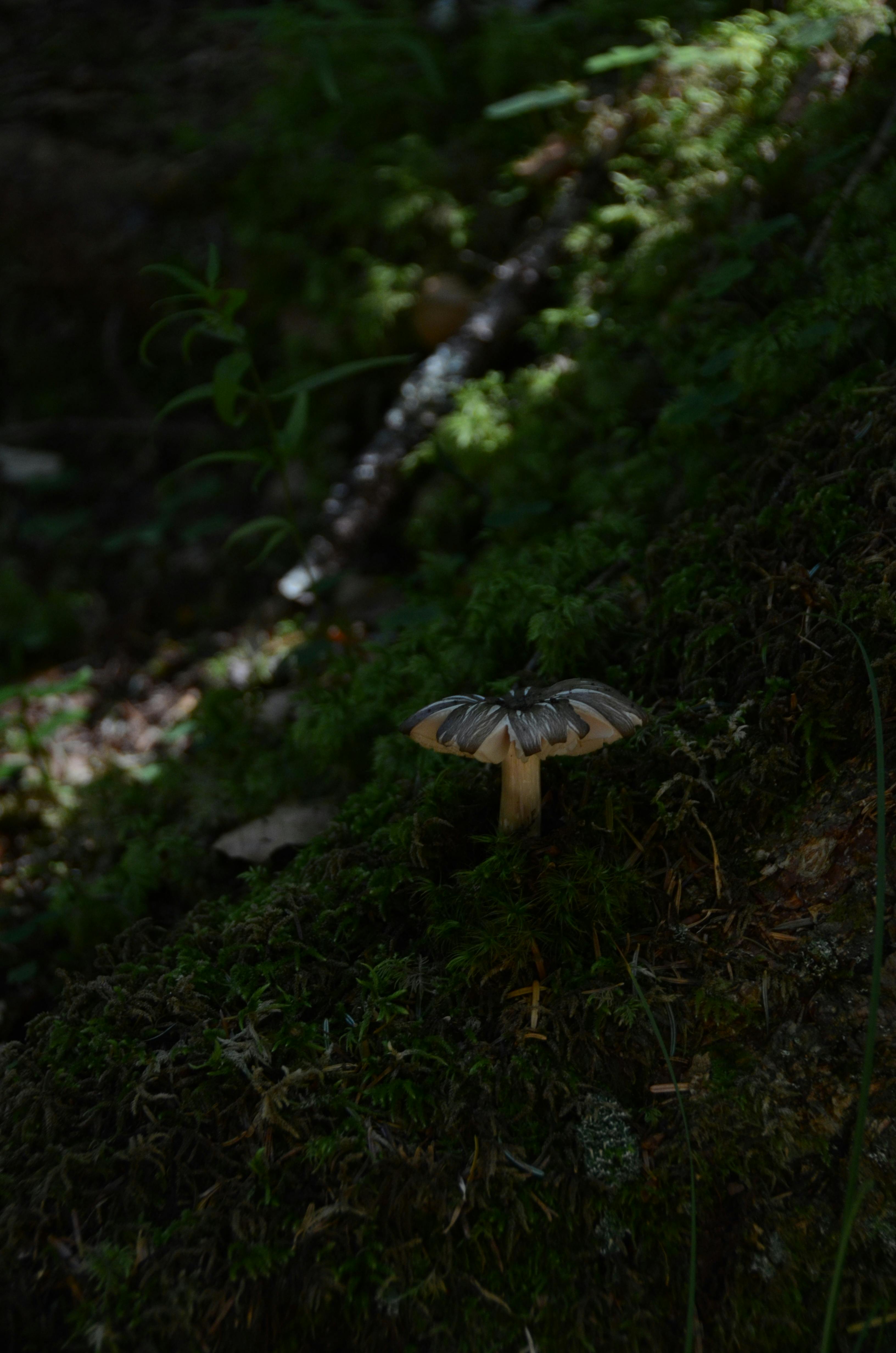 Aurora Martini Fotografia