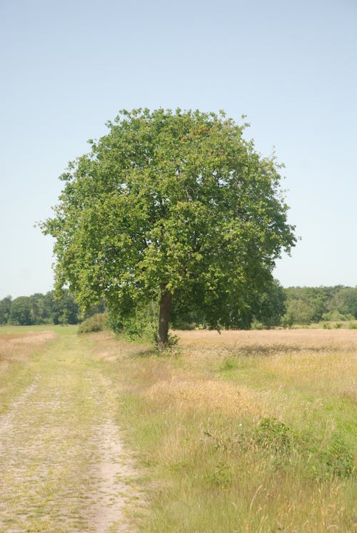 Kern County Photos, Download The BEST Free Kern County Stock Photos