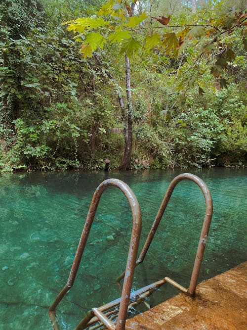 Entrance to a Pool in a Garden