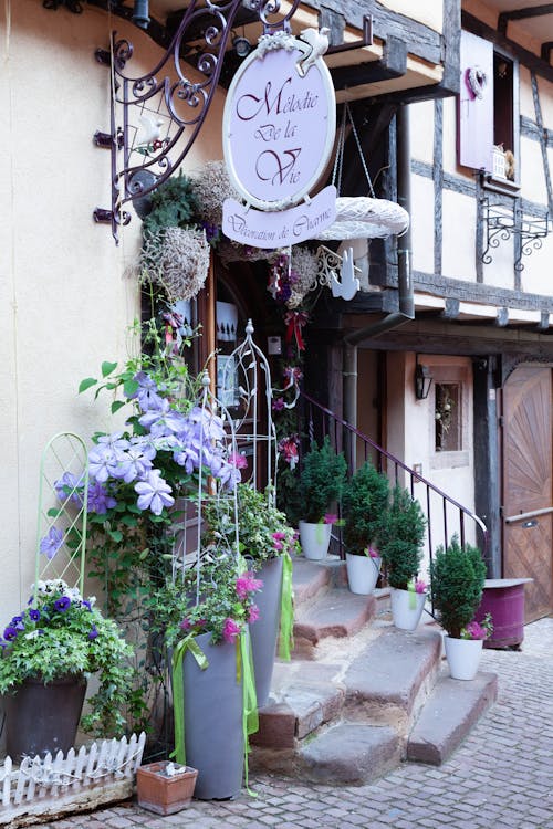 Flowers by Stairs of Building in Town in France