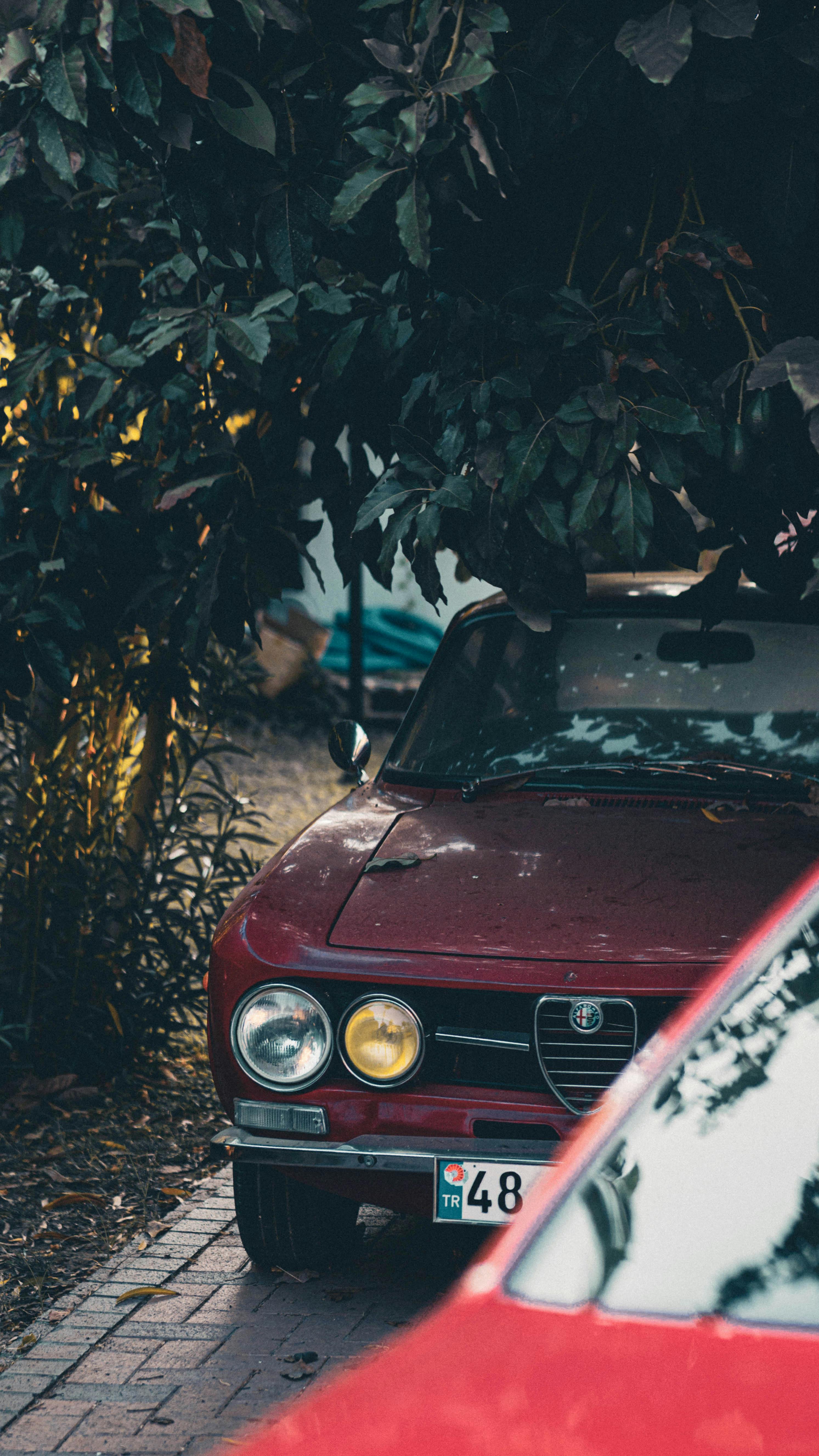 Wallpaper Alfa Romeo, logo, close-up, 1967, Alfa Romeo 33 Stradale, 33 Road  for mobile and desktop, section alfa romeo, resolution 5070x3380 - download