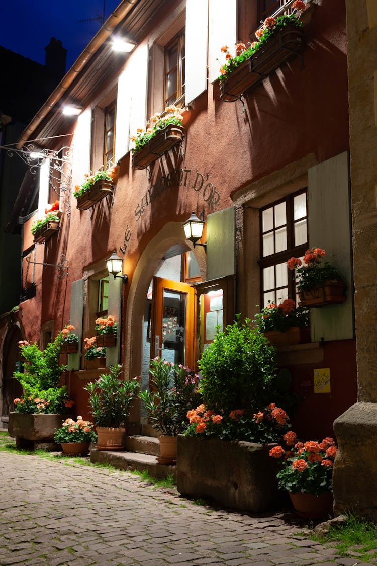 Building In Town In France At Night