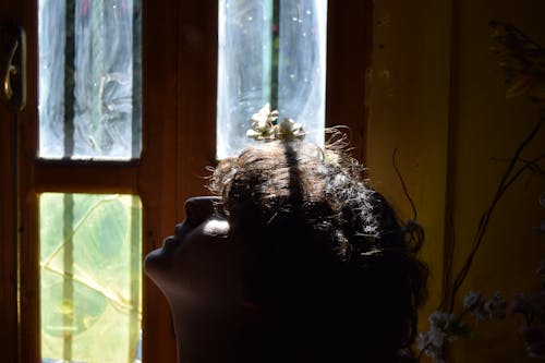 Kostnadsfri bild av brunt hår, fönster, huvud
