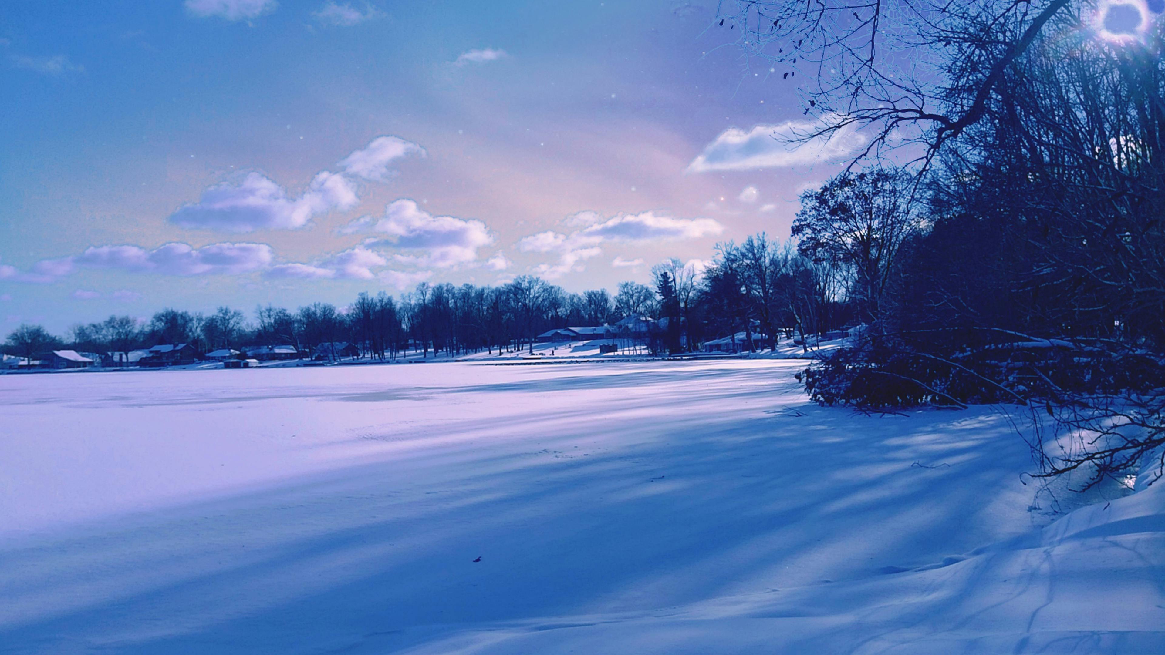 凍った湖 木 雪の無料の写真素材