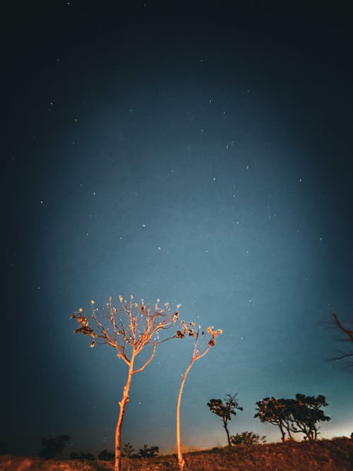 Foto profissional grátis de beleza da natureza, blue sky, céu estrelado