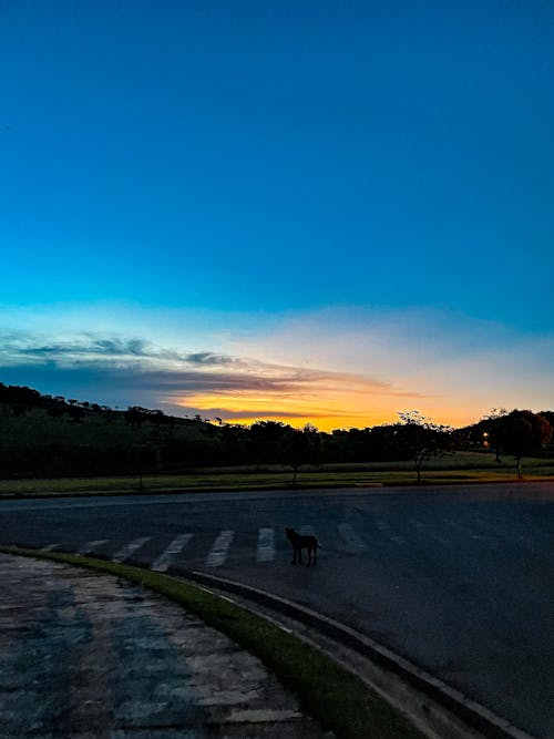 Foto profissional grátis de à beira do lago, água do lago, beleza da natureza