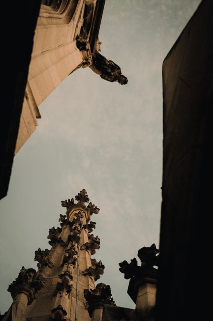 Photo by Alina Chernii on pexels