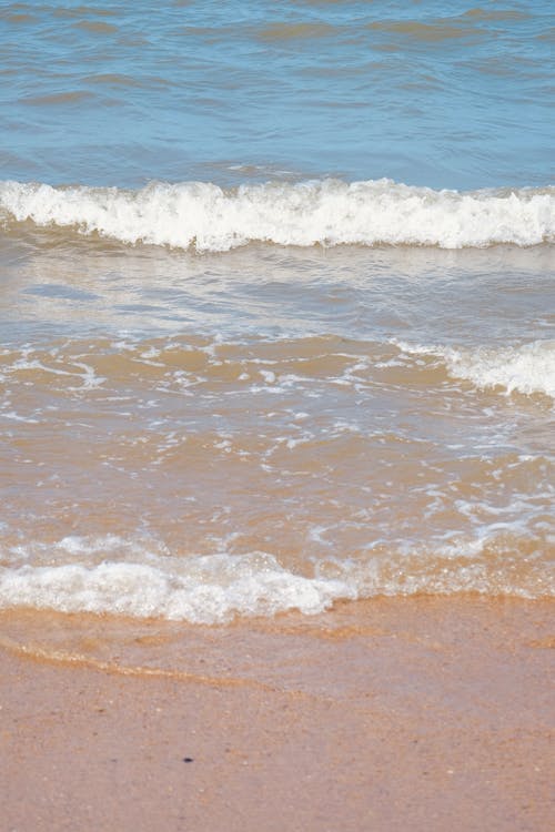 모래, 바다, 손을 흔들다의 무료 스톡 사진