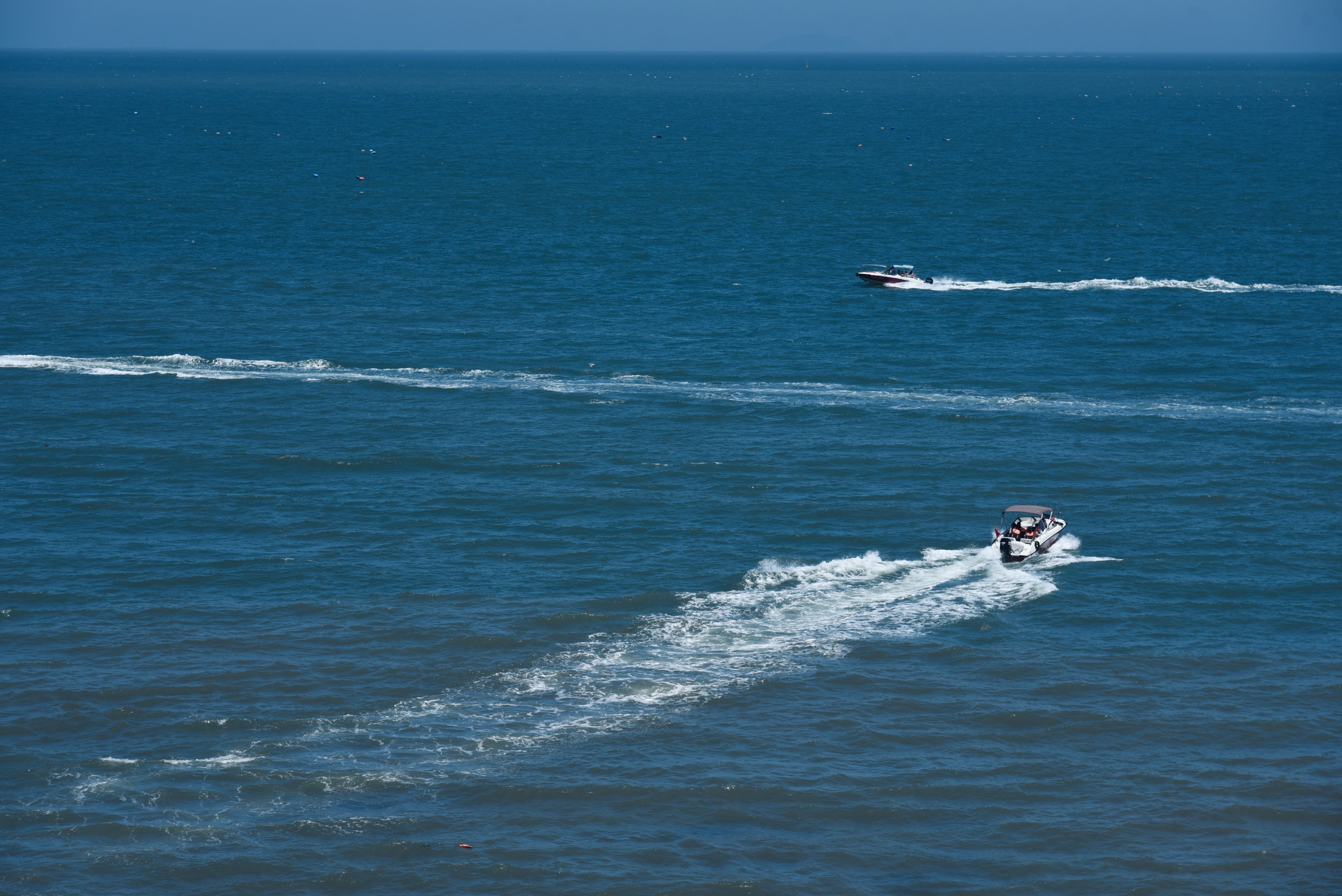 Operasi Pencarian Intensif: Speedboat Membawa 11 Turis Asing Hilang Kontak di Teluk Tomini