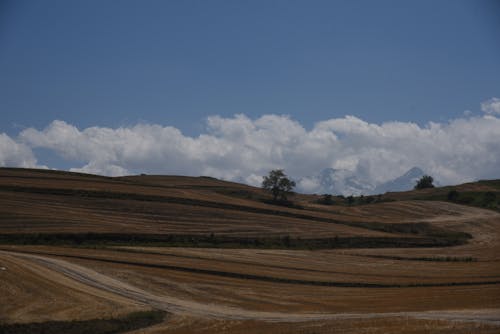 Dirt Road and Arid Hill in Countryside