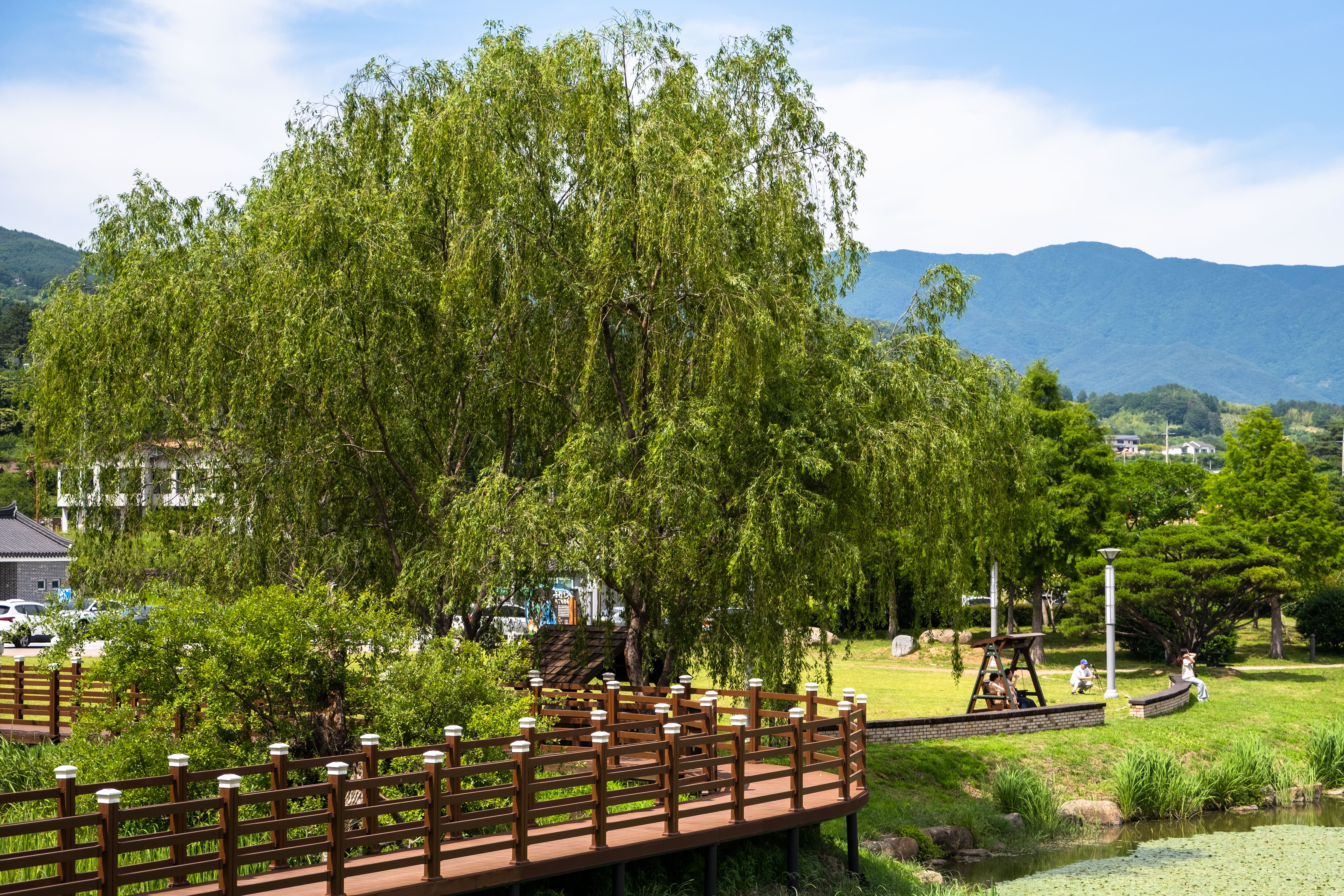 A serene park scene featuring a wooden footbridge, lush trees, and distant mountains.