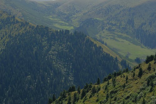 山, 山谷, 景觀 的 免费素材图片