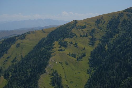 Free Aerial view of lush green mountain slopes under a clear blue sky. Stock Photo