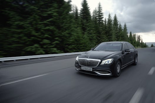 Black luxury sedan driving on an open road through a forest in Tashkent Region, Uzbekistan.