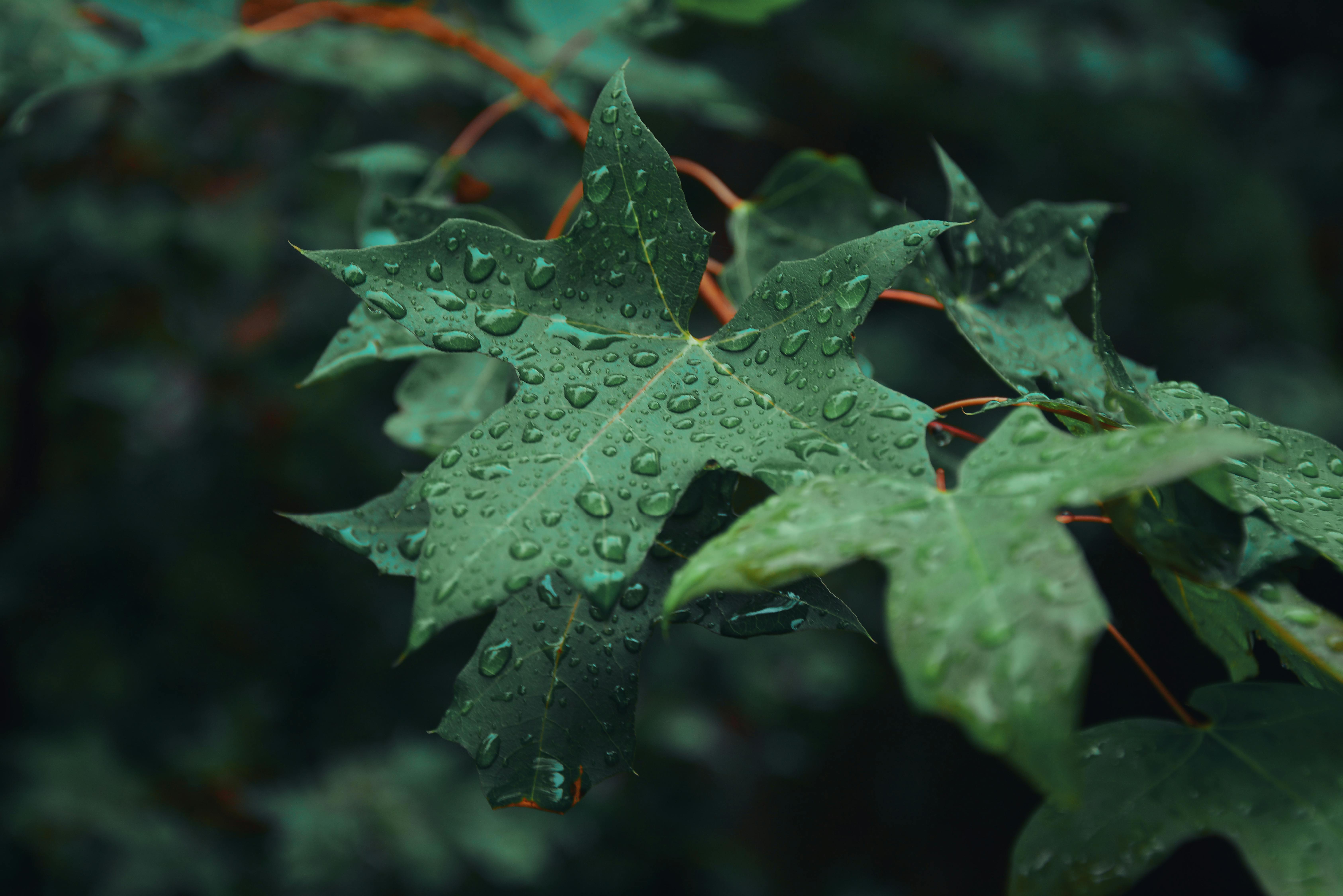 Landmarks in Tianshui