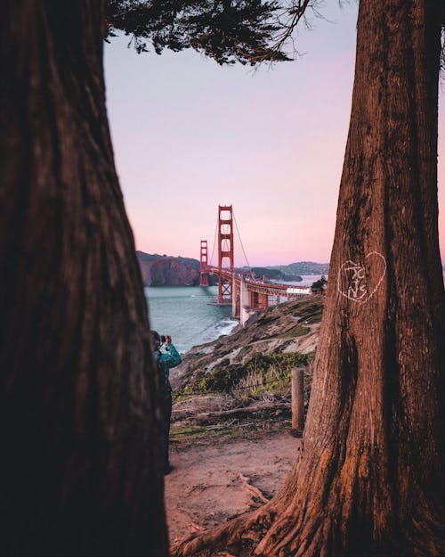 Golden Gate Bridge View from Between Trees