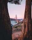 日落时分，被树木环绕的金门大桥是旧金山的标志性地标