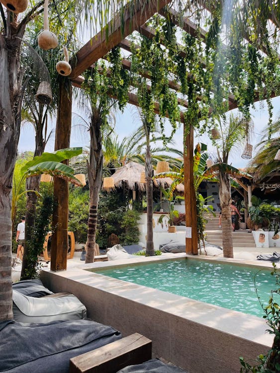 Swimming Pool under Pergola with Plants in Yard