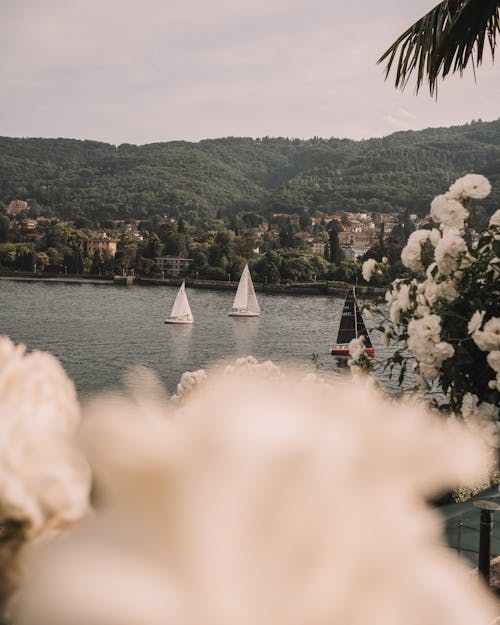 Sailboats Sailing on Lake Como in Italy