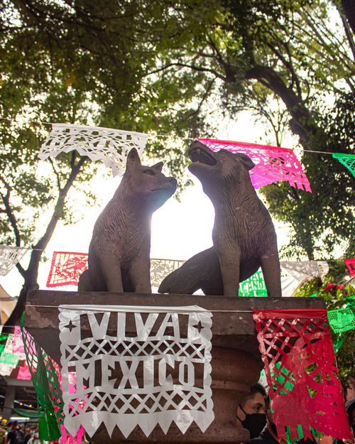 Free stock photo of cdmx, coyoacan, mexico Stock Photo