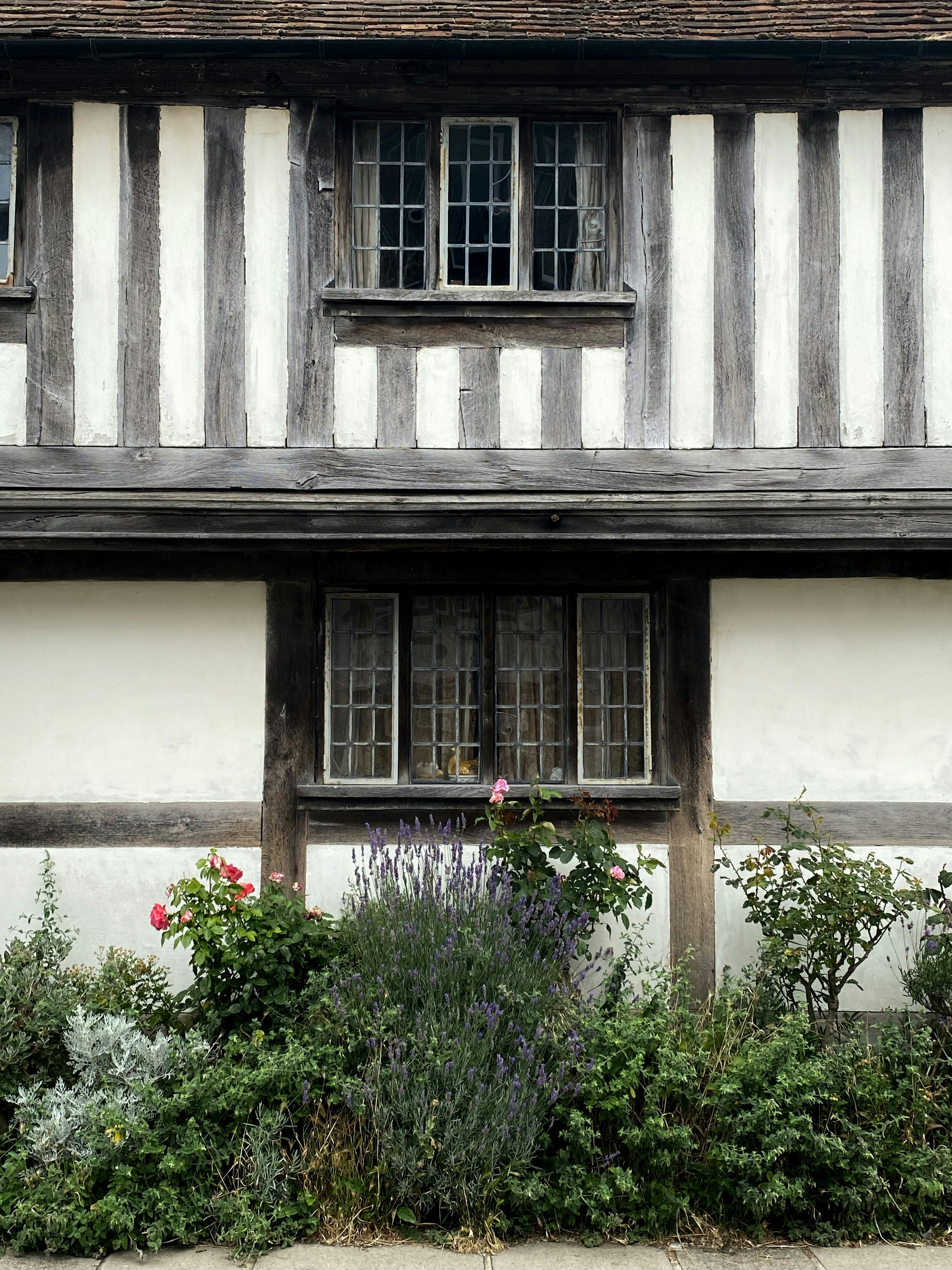 Charming traditional cottage in Rye, England with a lush garden.