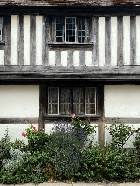 Charming traditional cottage in Rye, England with a lush garden.