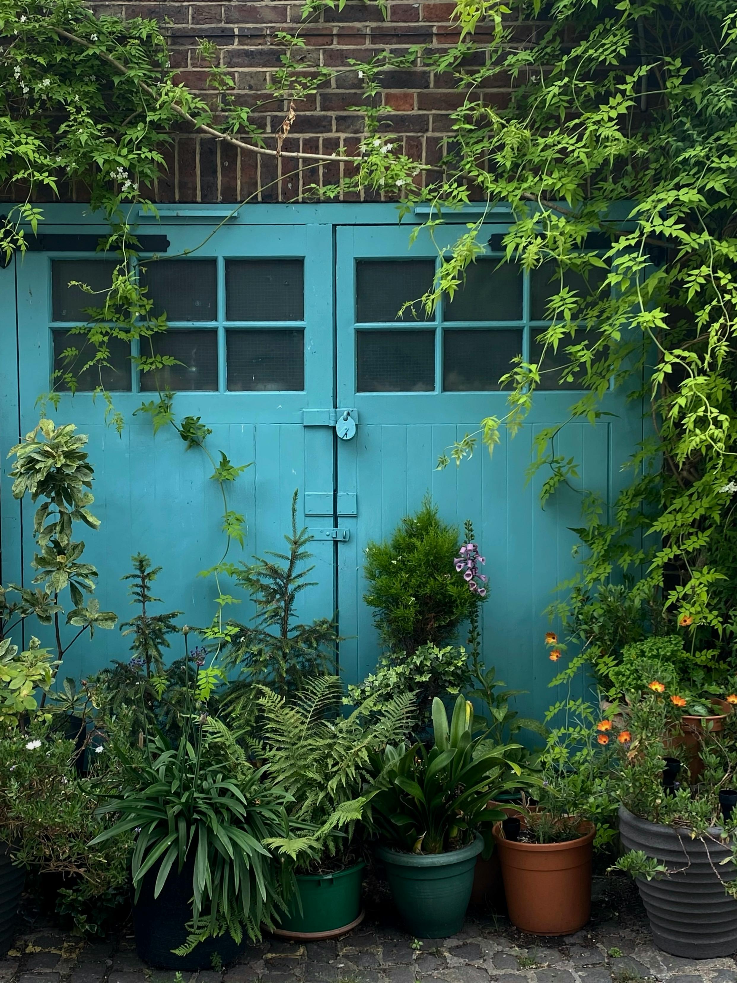 Homeowners inspecting wooden garage doors amidst lush greenery photography